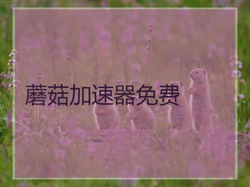 蘑菇加速器免费