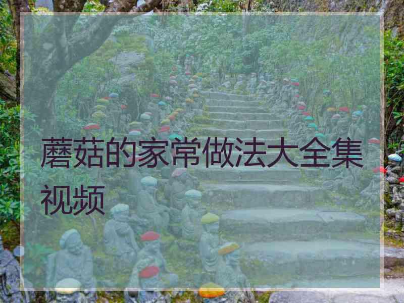 蘑菇的家常做法大全集视频