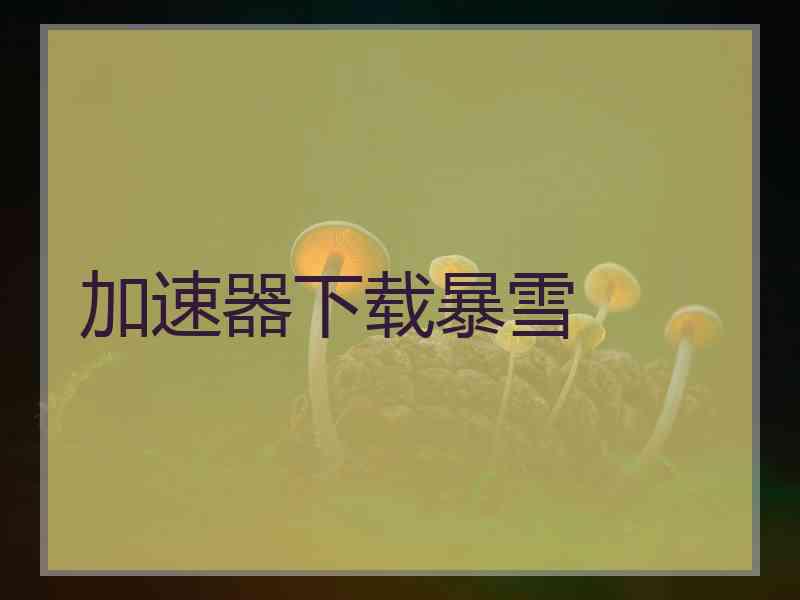 加速器下载暴雪