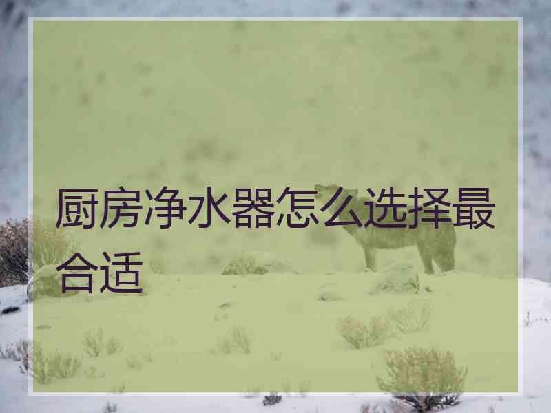 厨房净水器怎么选择最合适