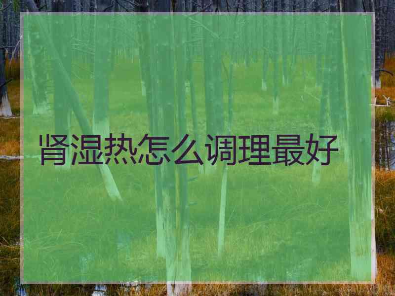 肾湿热怎么调理最好