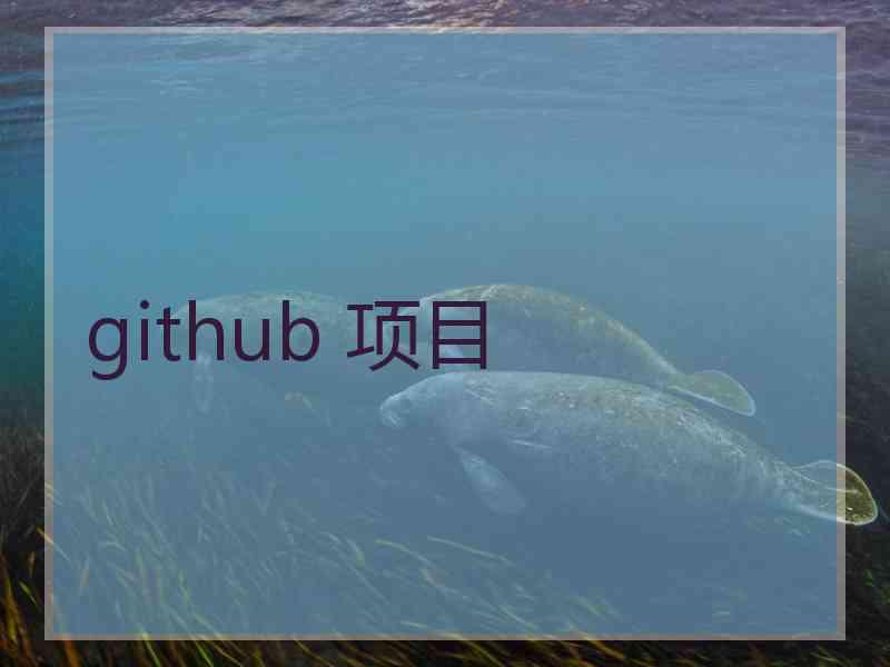 github 项目