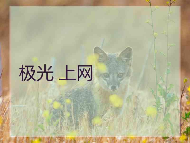 极光 上网