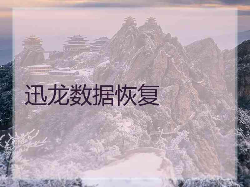 迅龙数据恢复
