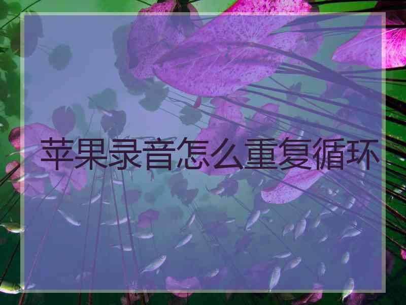 苹果录音怎么重复循环