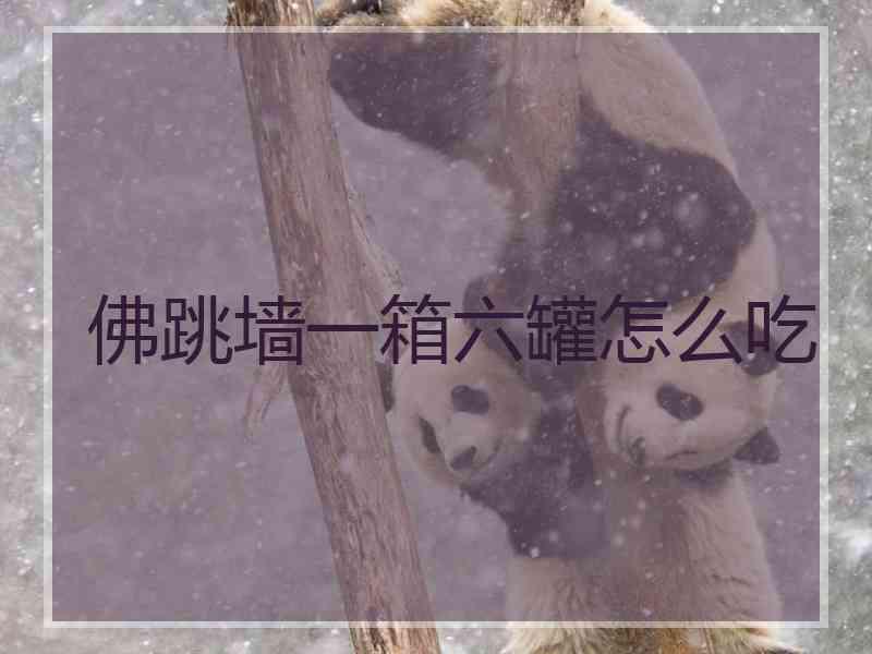 佛跳墙一箱六罐怎么吃
