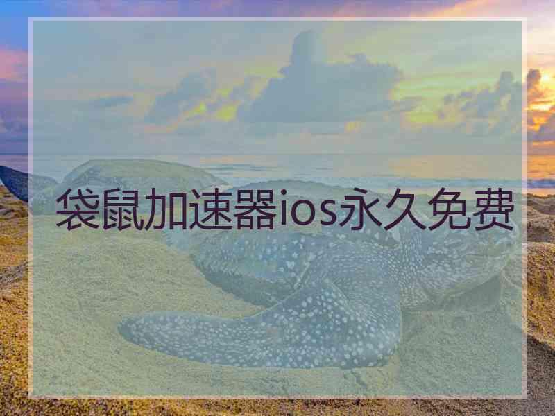 袋鼠加速器ios永久免费