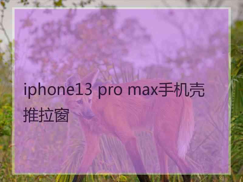 iphone13 pro max手机壳推拉窗