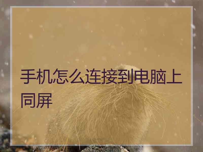 手机怎么连接到电脑上同屏