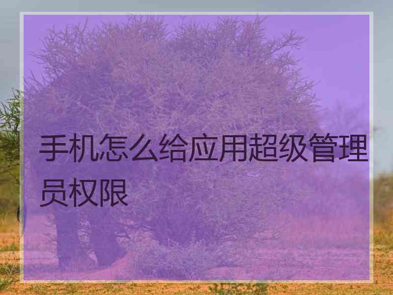 手机怎么给应用超级管理员权限