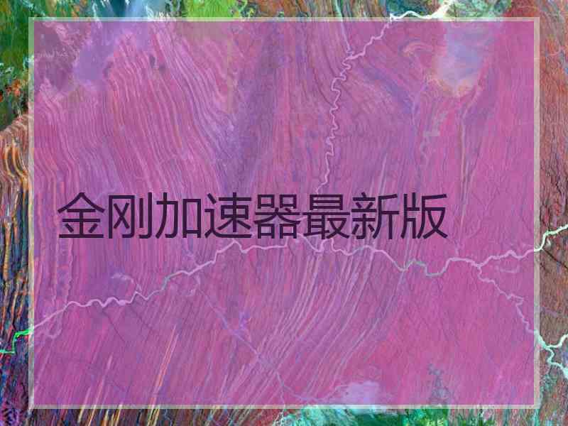 金刚加速器最新版