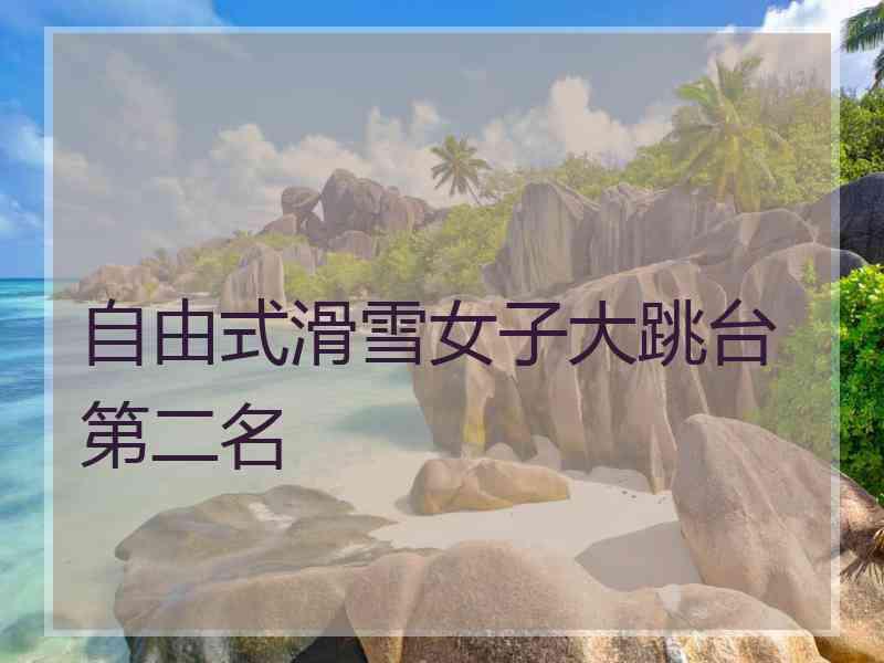 自由式滑雪女子大跳台第二名