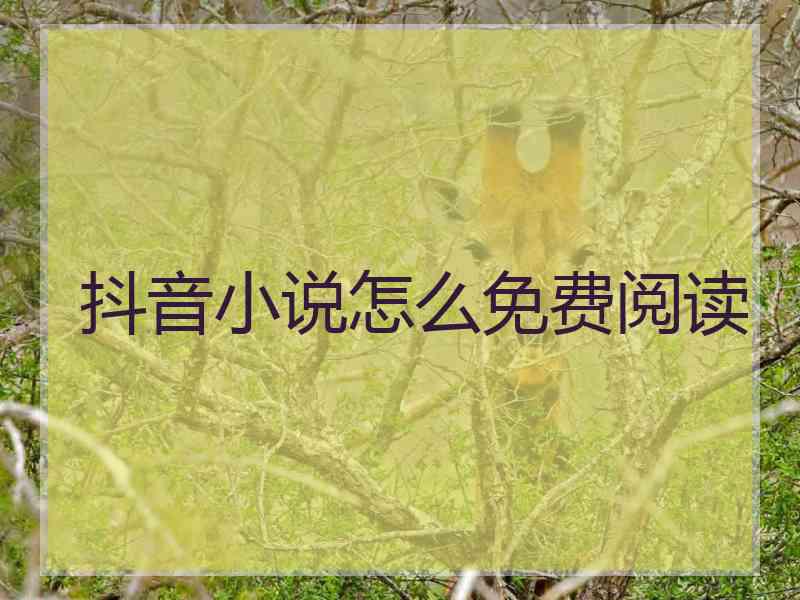 抖音小说怎么免费阅读