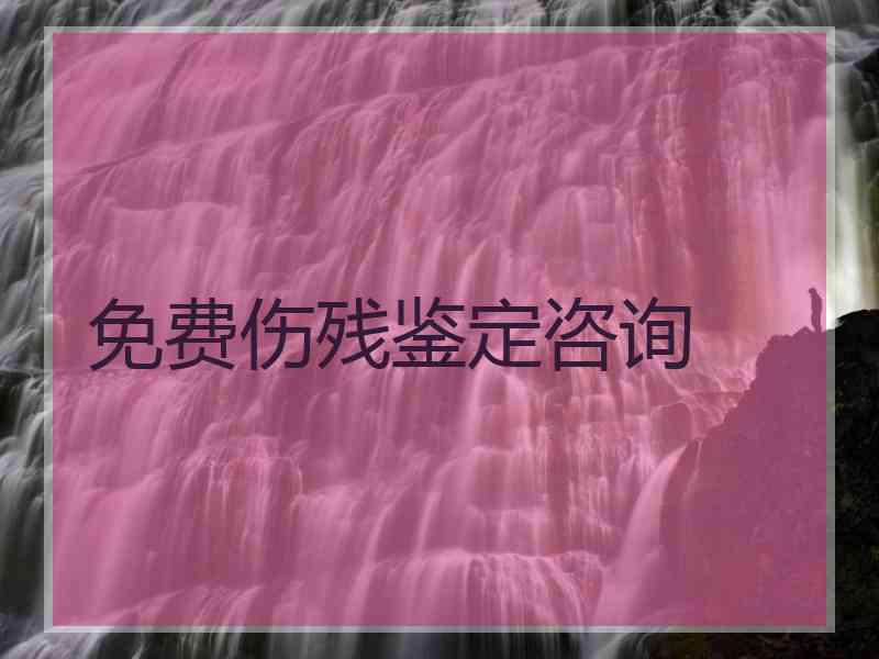 免费伤残鉴定咨询