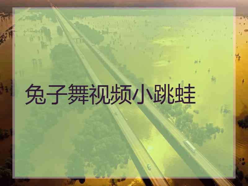 兔子舞视频小跳蛙