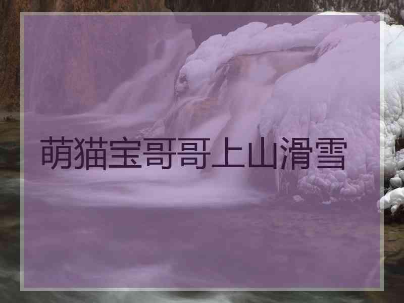 萌猫宝哥哥上山滑雪