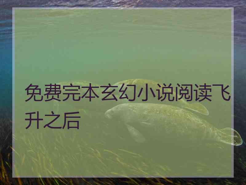 免费完本玄幻小说阅读飞升之后