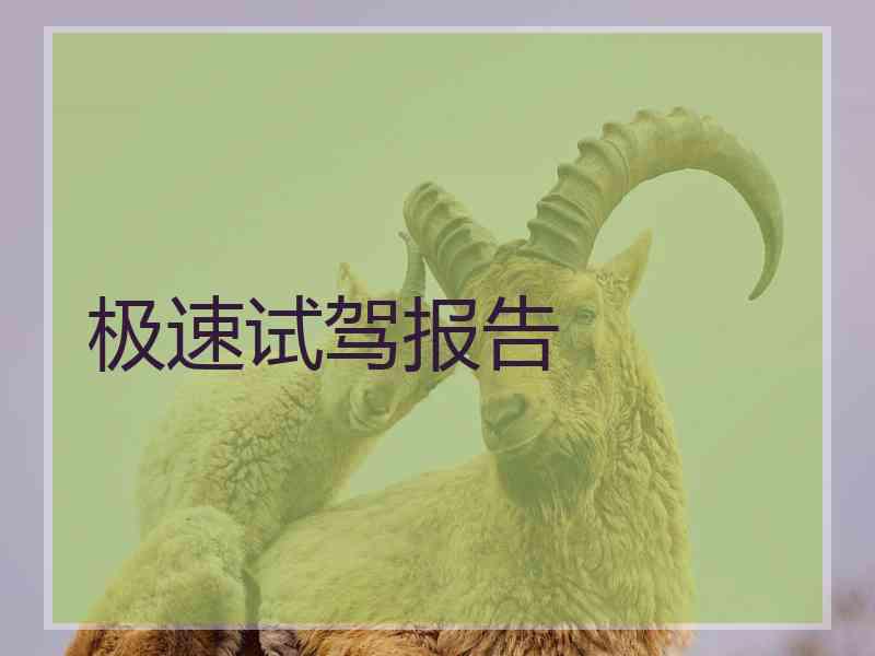 极速试驾报告