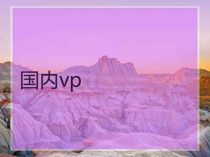 国内vp