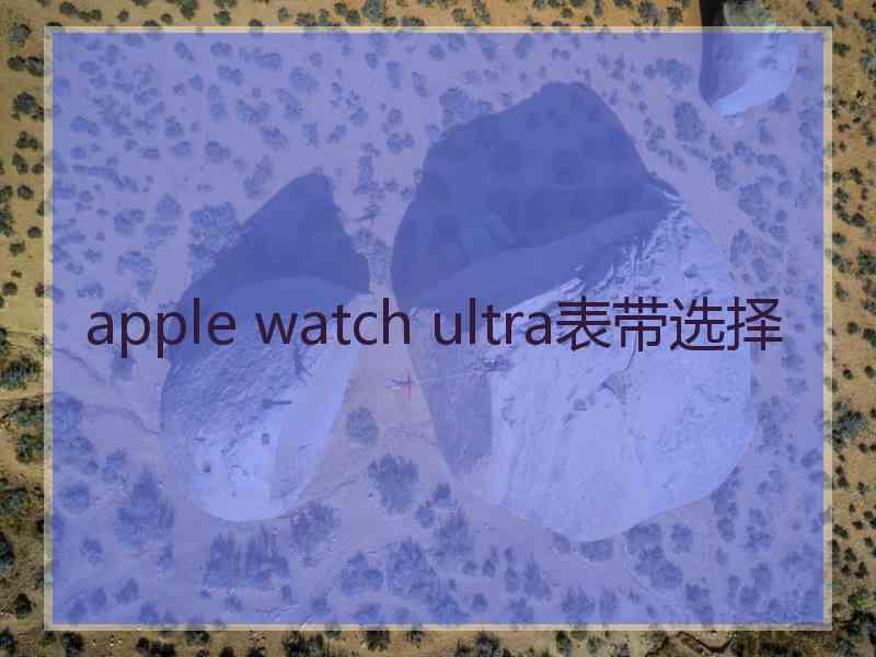 apple watch ultra表带选择