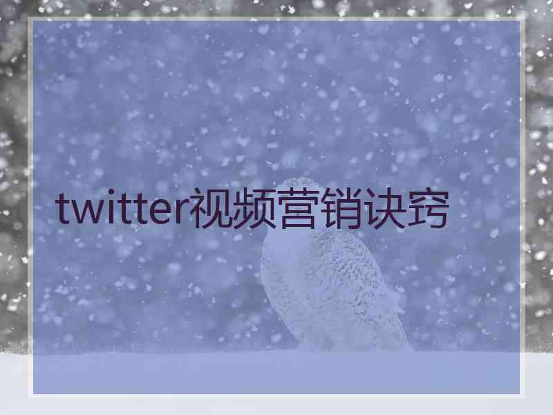 twitter视频营销诀窍