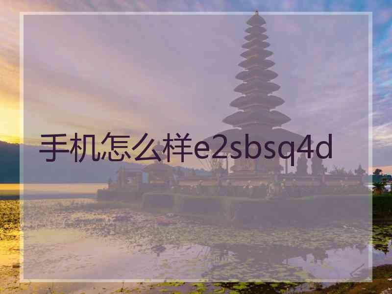 手机怎么样e2sbsq4d