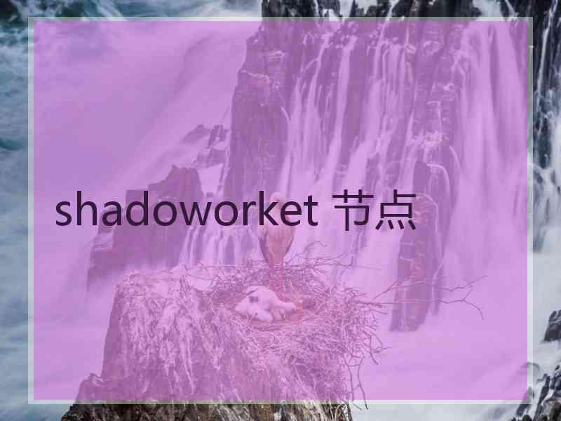 shadoworket 节点