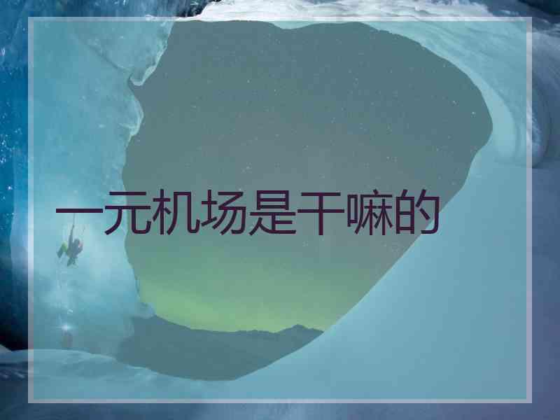 一元机场是干嘛的