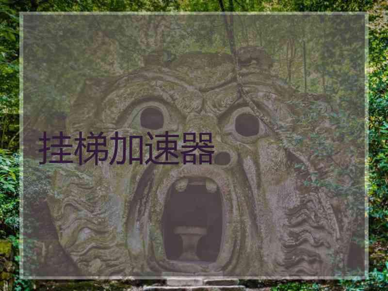 挂梯加速器
