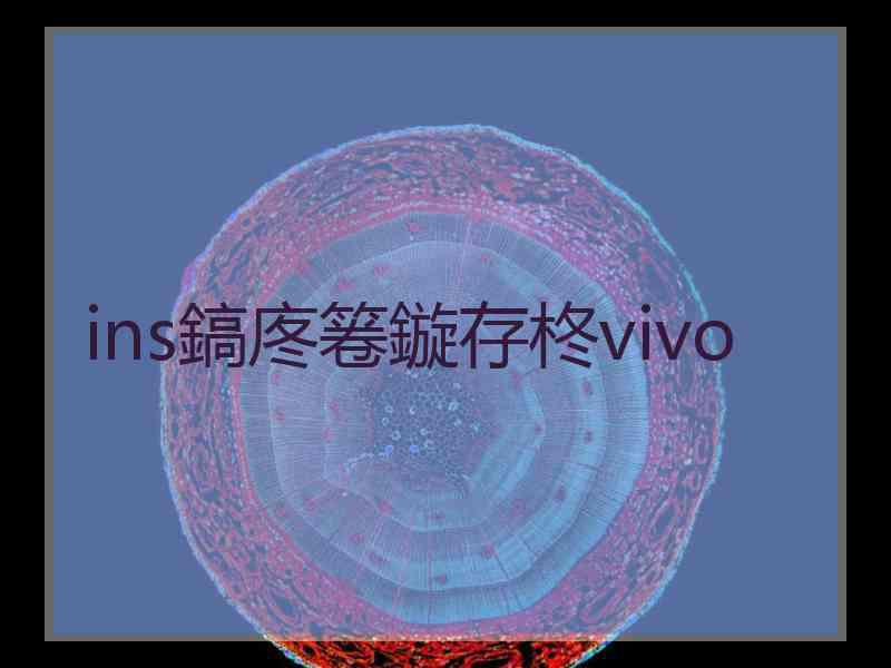 ins鎬庝箞鏇存柊vivo