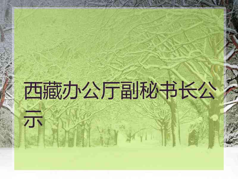 西藏办公厅副秘书长公示