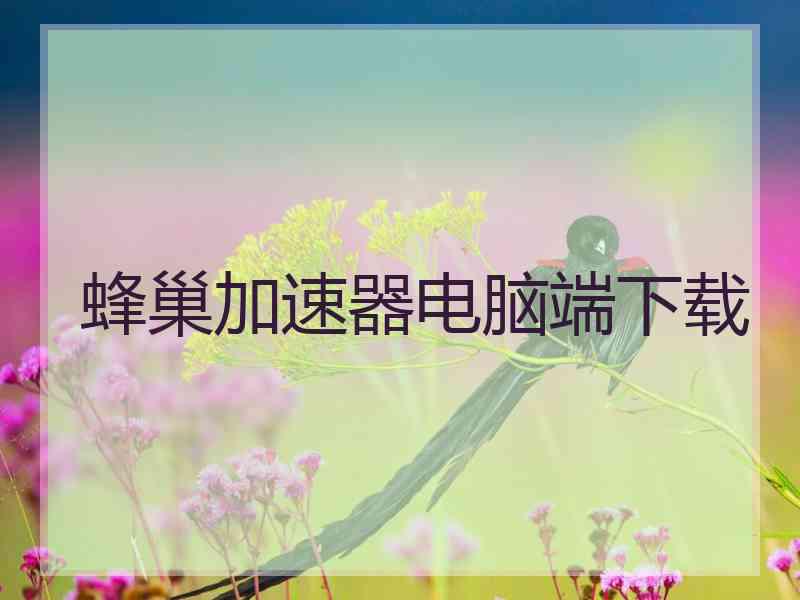 蜂巢加速器电脑端下载