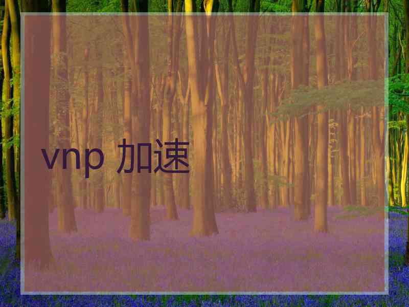 vnp 加速