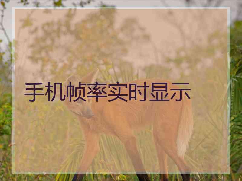 手机帧率实时显示
