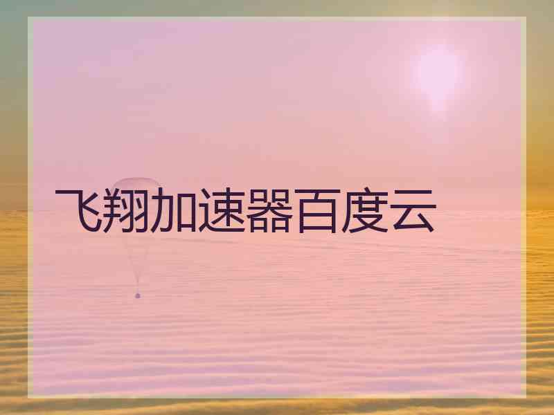 飞翔加速器百度云