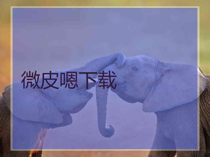 微皮嗯下载