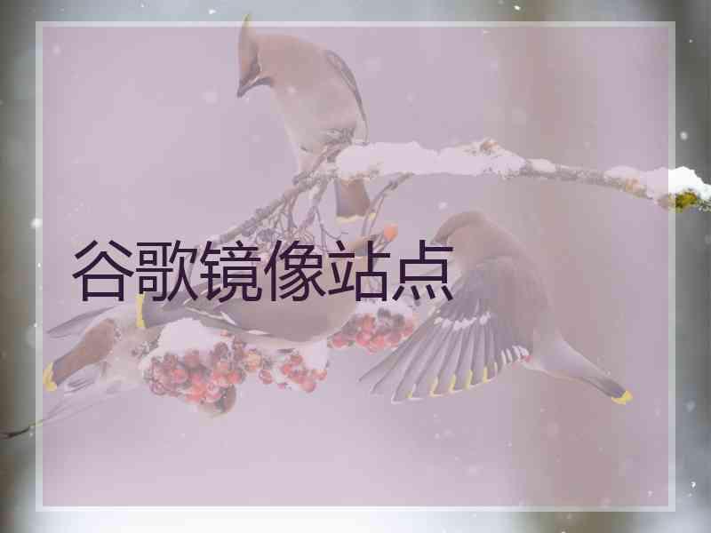 谷歌镜像站点