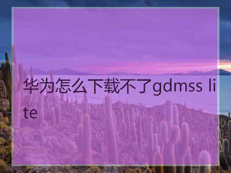华为怎么下载不了gdmss lite