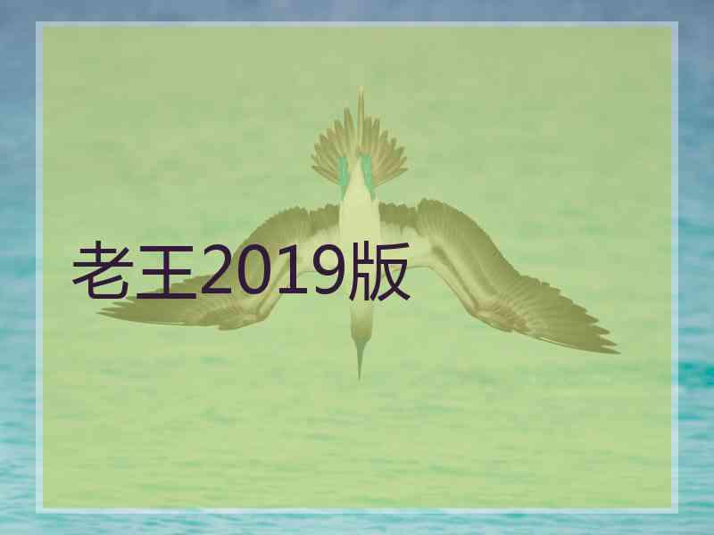 老王2019版
