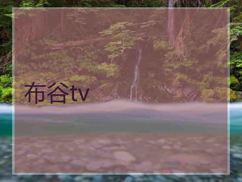 布谷tv