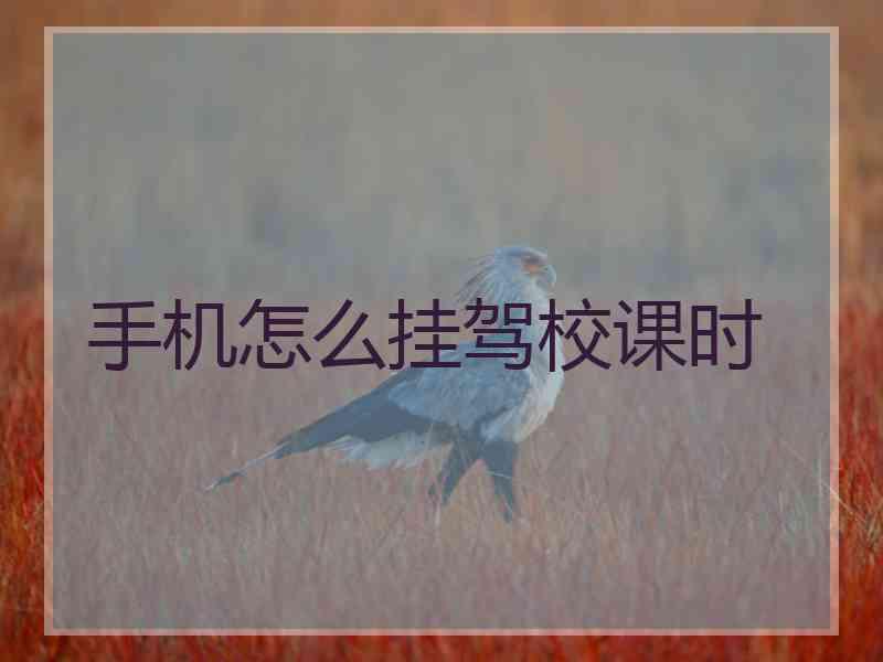 手机怎么挂驾校课时