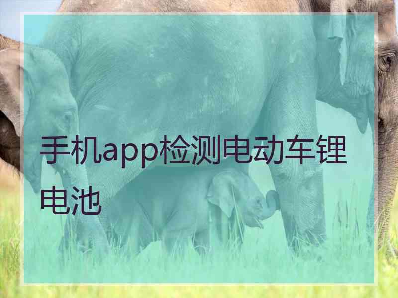 手机app检测电动车锂电池