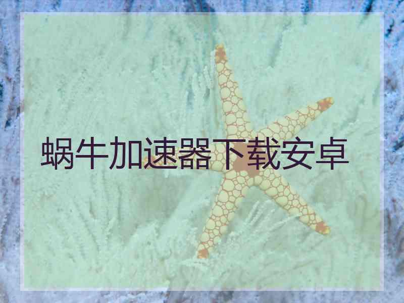 蜗牛加速器下载安卓