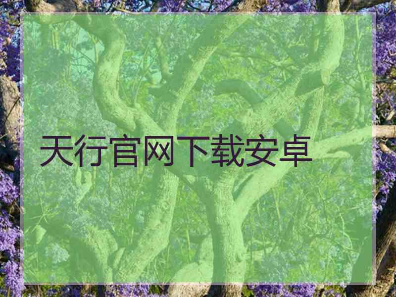 天行官网下载安卓