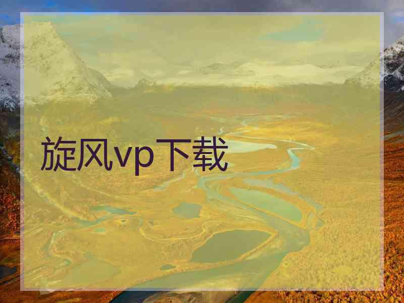 旋风vp下载