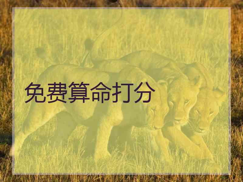 免费算命打分