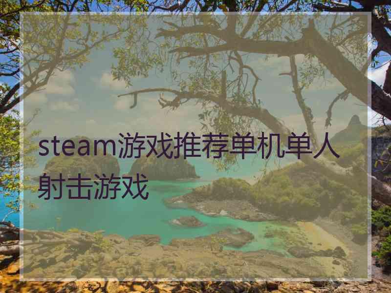 steam游戏推荐单机单人射击游戏