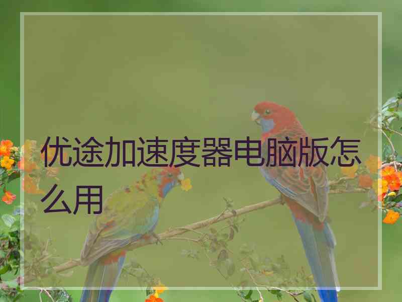 优途加速度器电脑版怎么用
