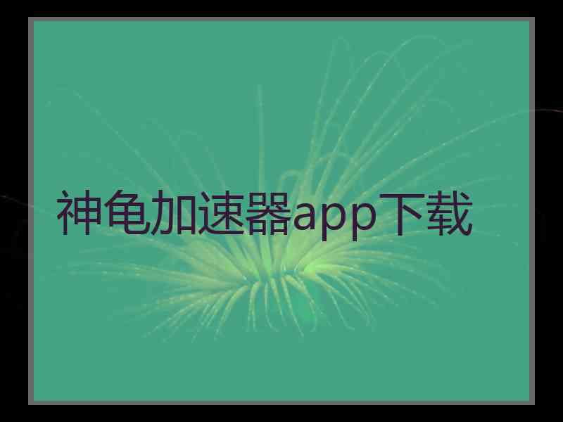 神龟加速器app下载