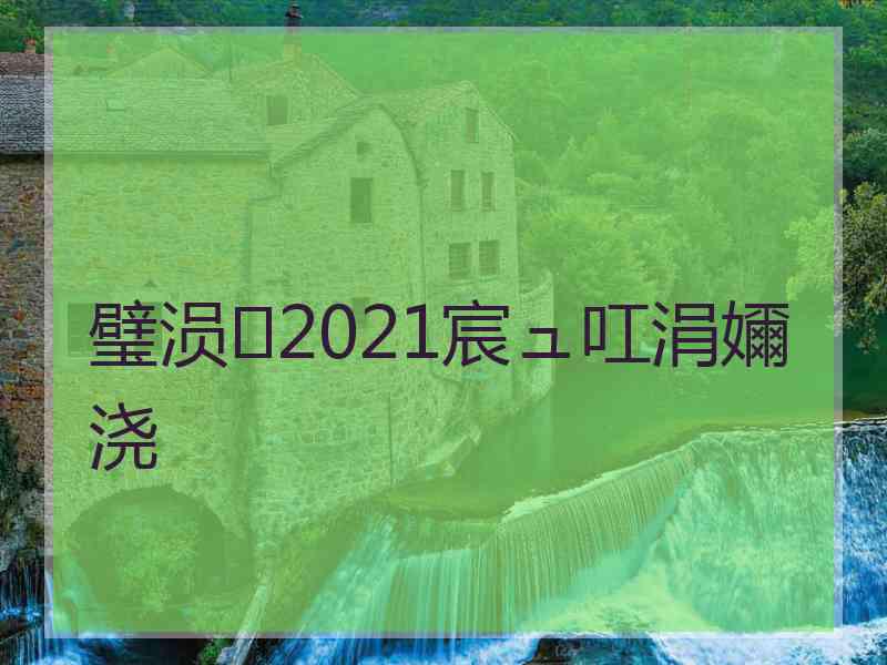 璧涢2021宸ュ叿涓嬭浇